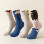 Pinteresty Women Socks - Soft and Breathable